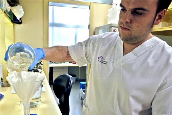 La Universidad De Burgos Lidera Un Proyecto Para Tratar La Fibrosis Quística