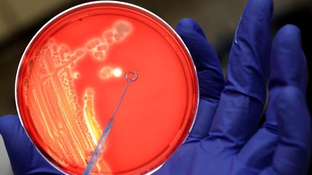 Una Nueva Molécula Abre La Vía Para Acabar Con Resistencia De Superbacterias