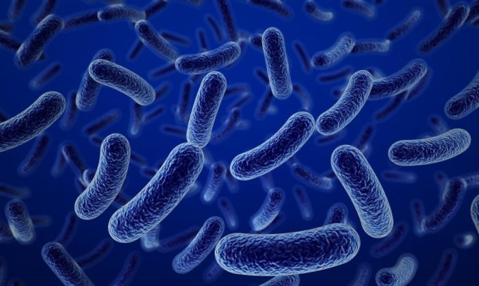 Primer Antibiótico Sintético Activo Frente A Bacterias Resistentes